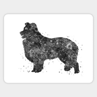 border collie dog black and white Magnet